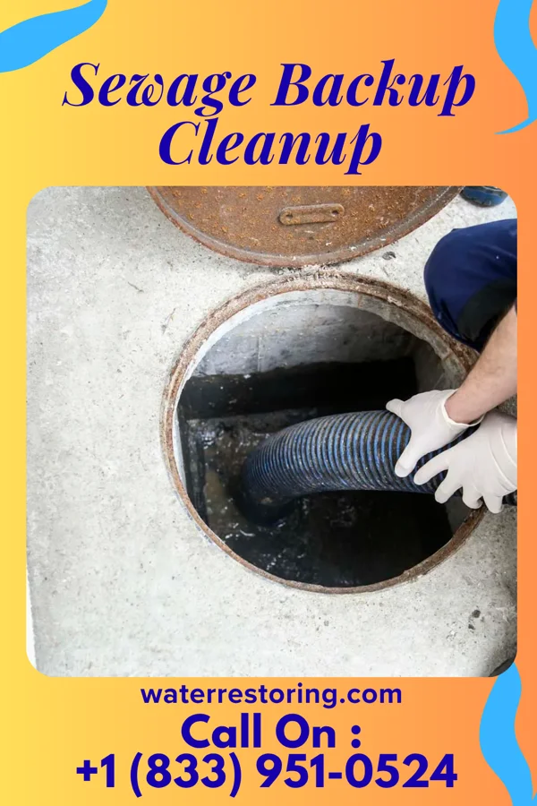 Sewage Backup Cleanup in Cambridge, KY