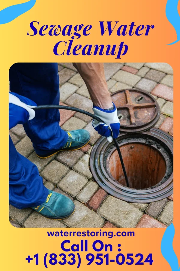 Sewage Water Cleanup in Cambridge, KY